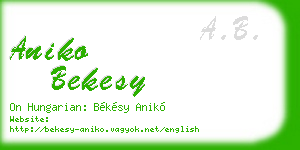 aniko bekesy business card